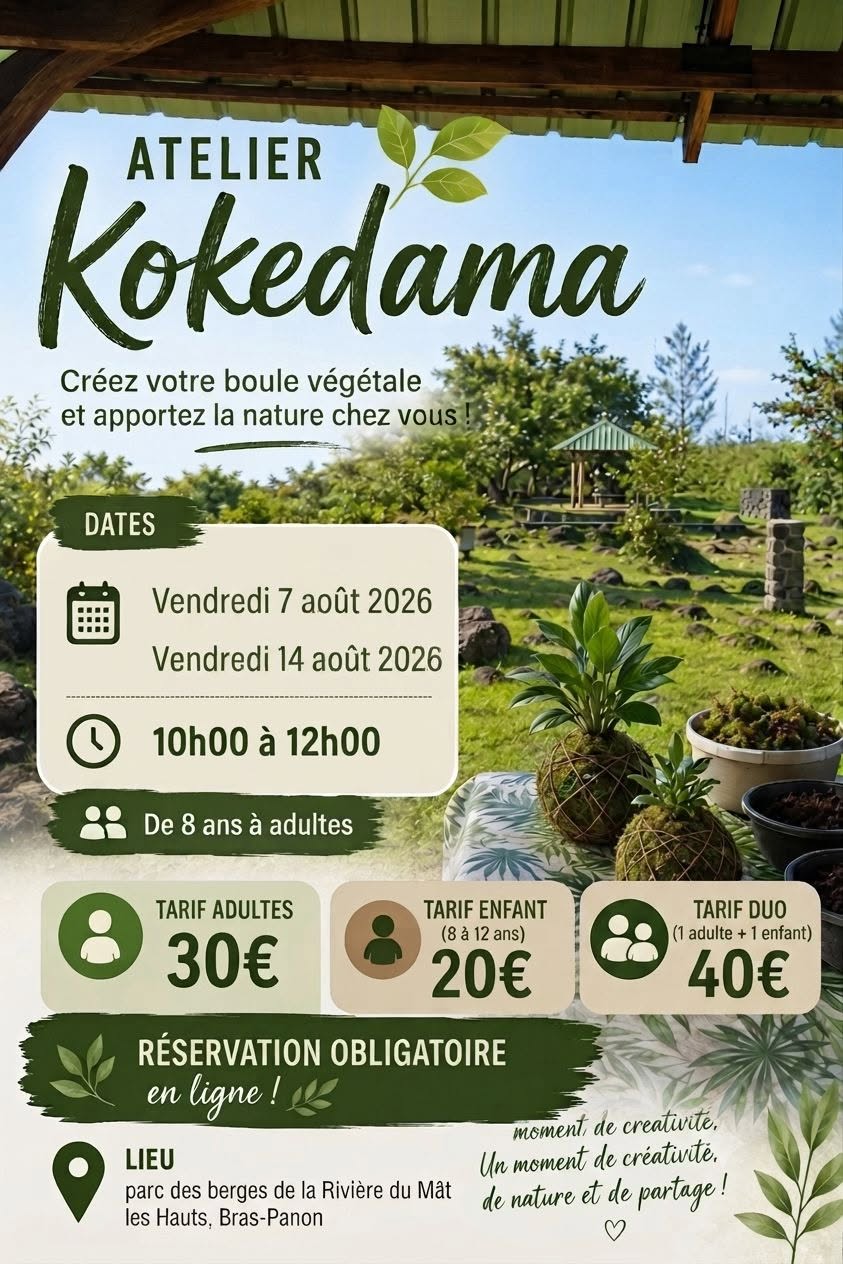 Atelier Kokedama : Créez votre propre boule végétale !